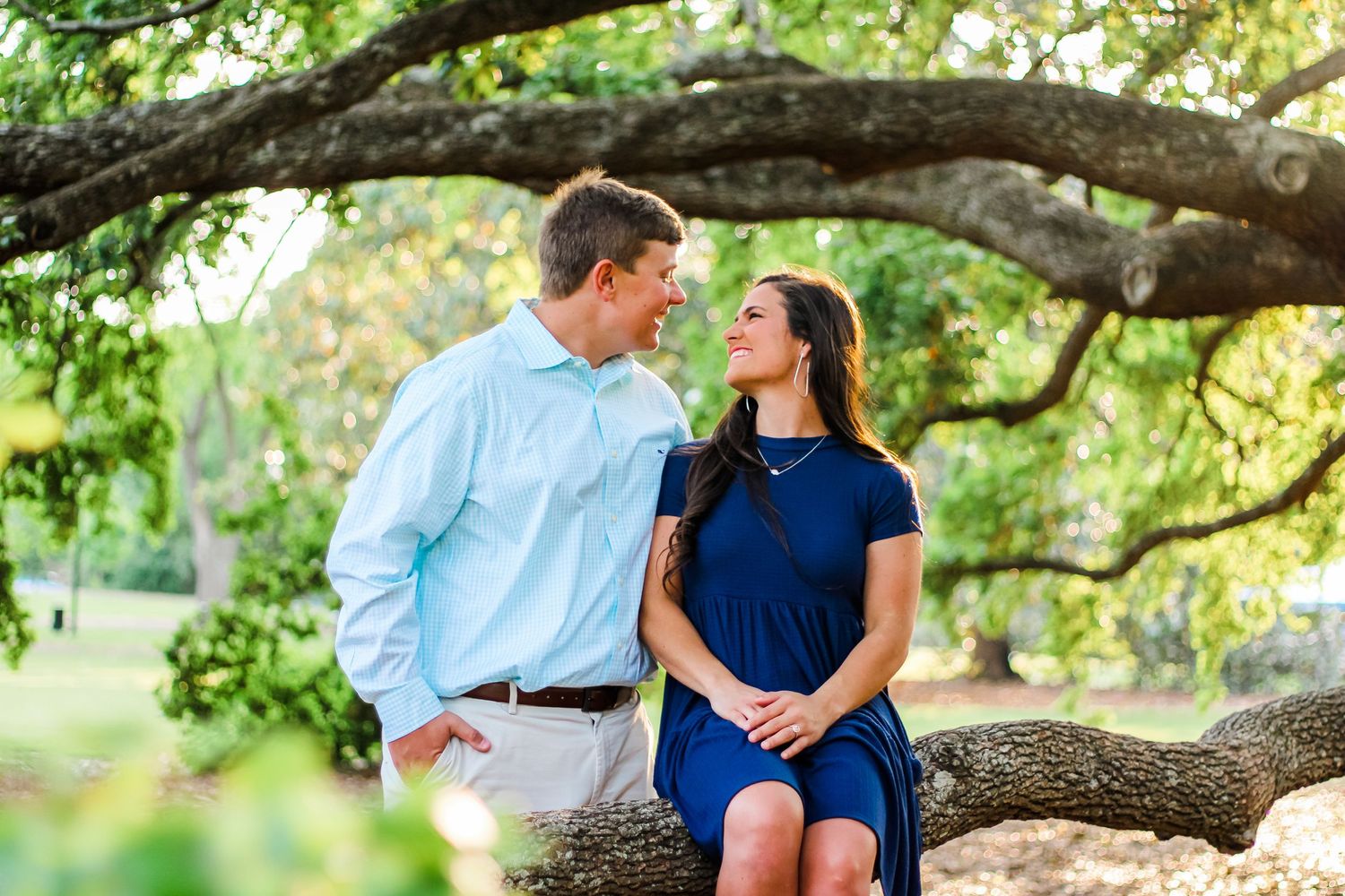 Romantic couple pose on tree branch wearing coordinated navy and light blue outfits.