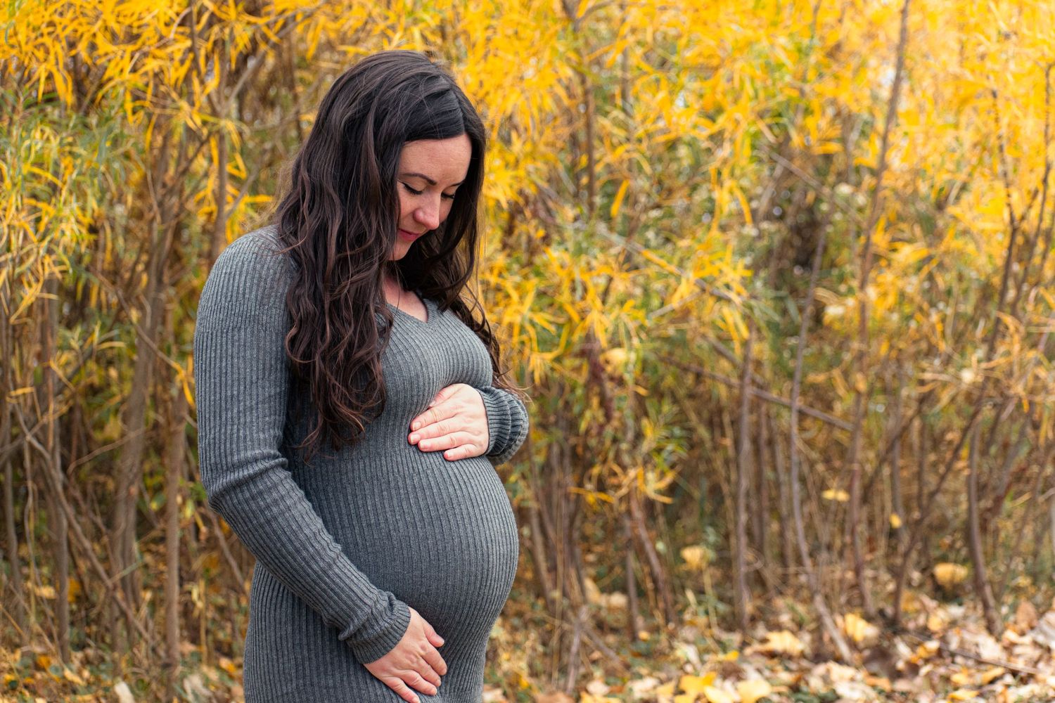 An expectant mother in a gray sweater tenderly holding her baby bump against golden fall foliage.