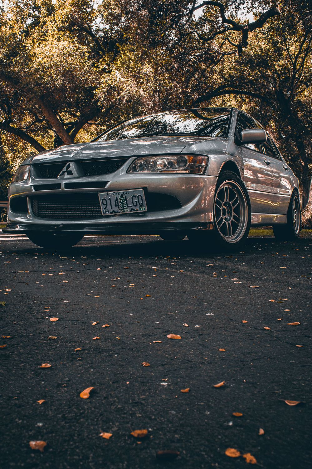 Evo During Fall