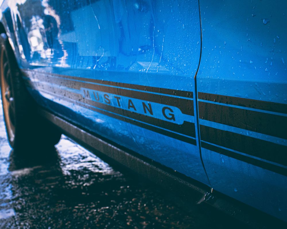 Blue Mustang