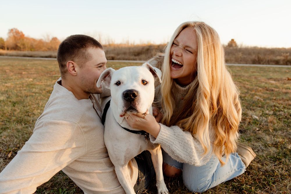 Happy couple playing with their white dog in a sunny autumn field during sunset.