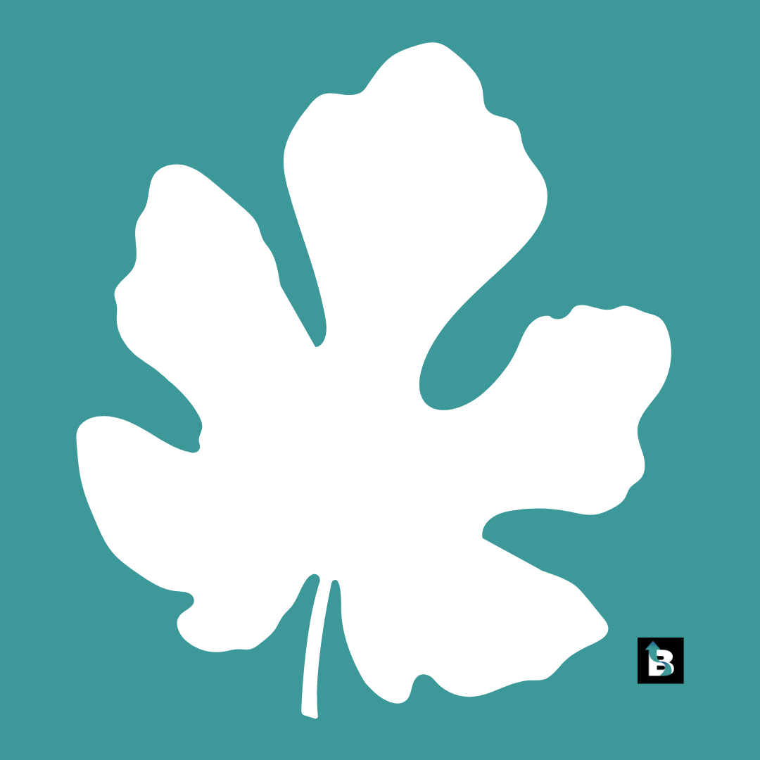 Fall Marketing - Leaf Icon