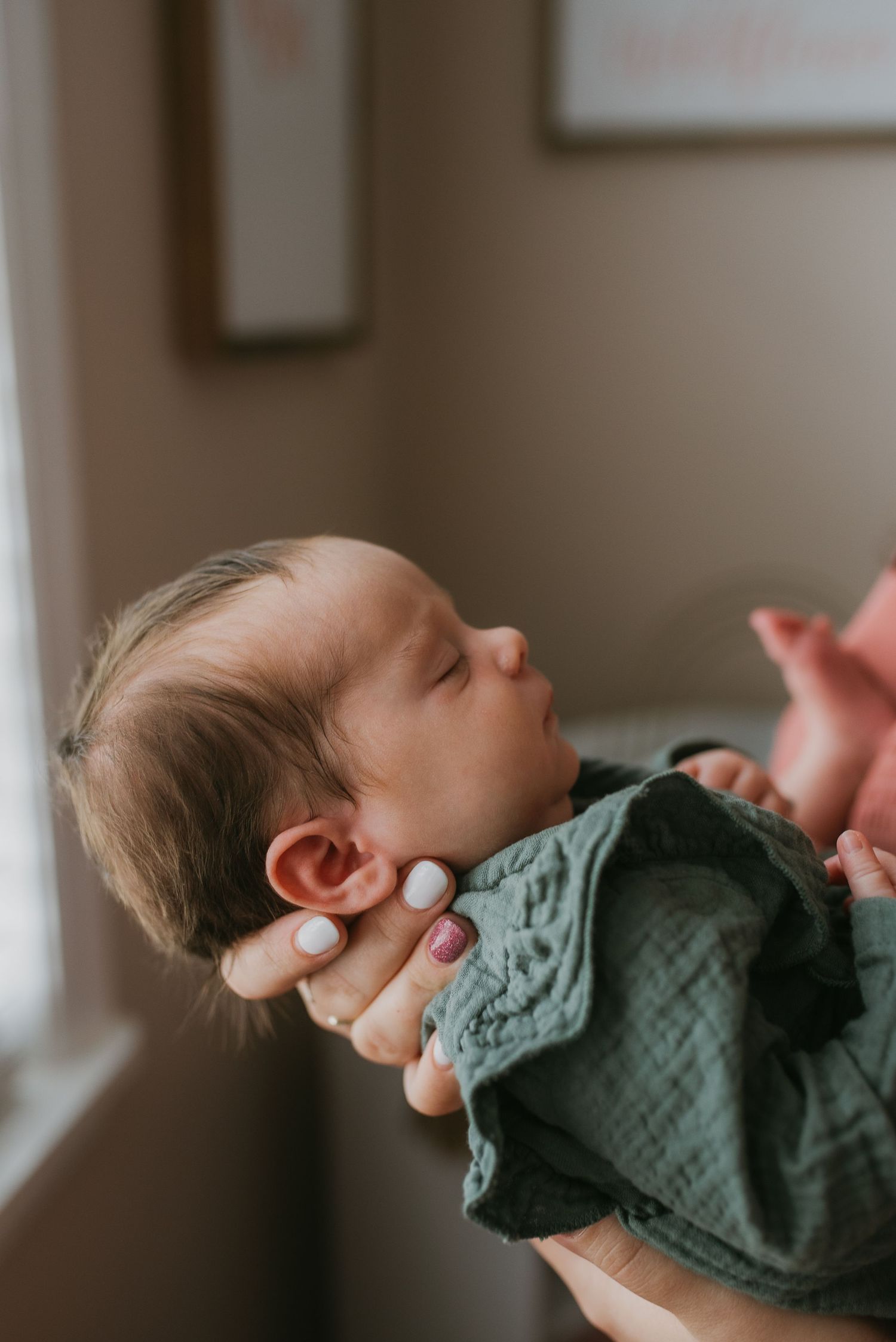 knoxville newborn photos