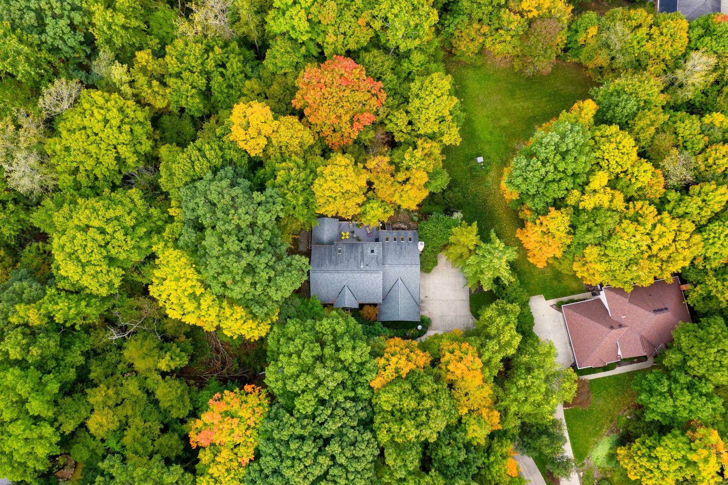 Aerial drone view of houses nestled among vibrant autumn trees showing green and golden yellow foliage from above.
