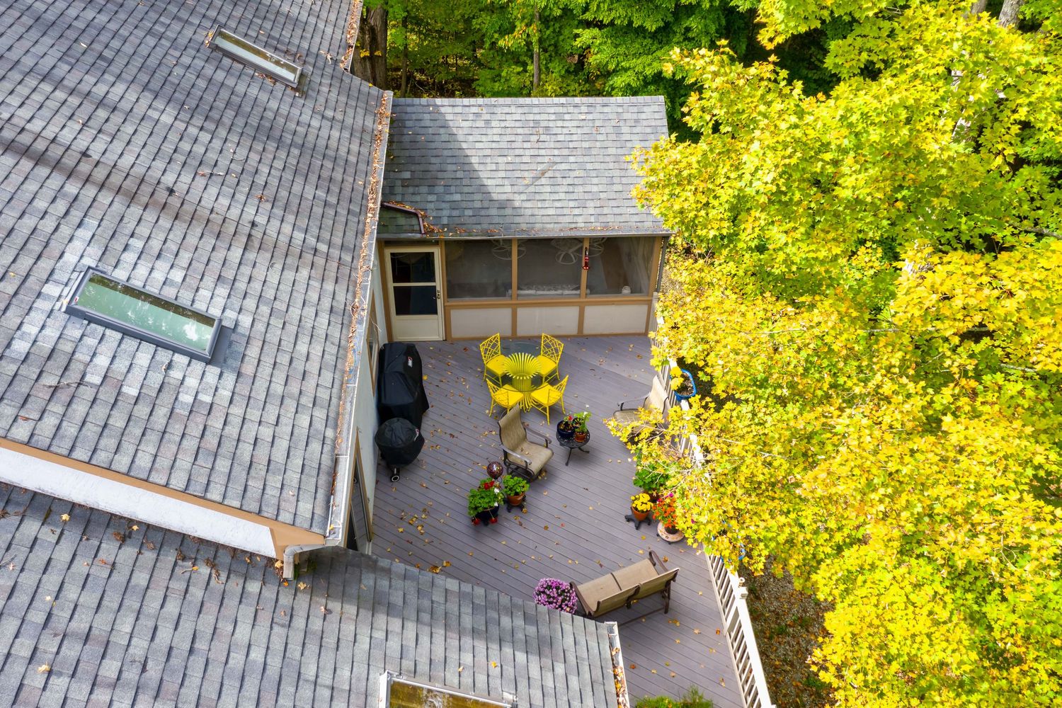 Aerial drone view of a backyard patio with yellow chairs and plants surrounded by lush greenery and grey roofing.