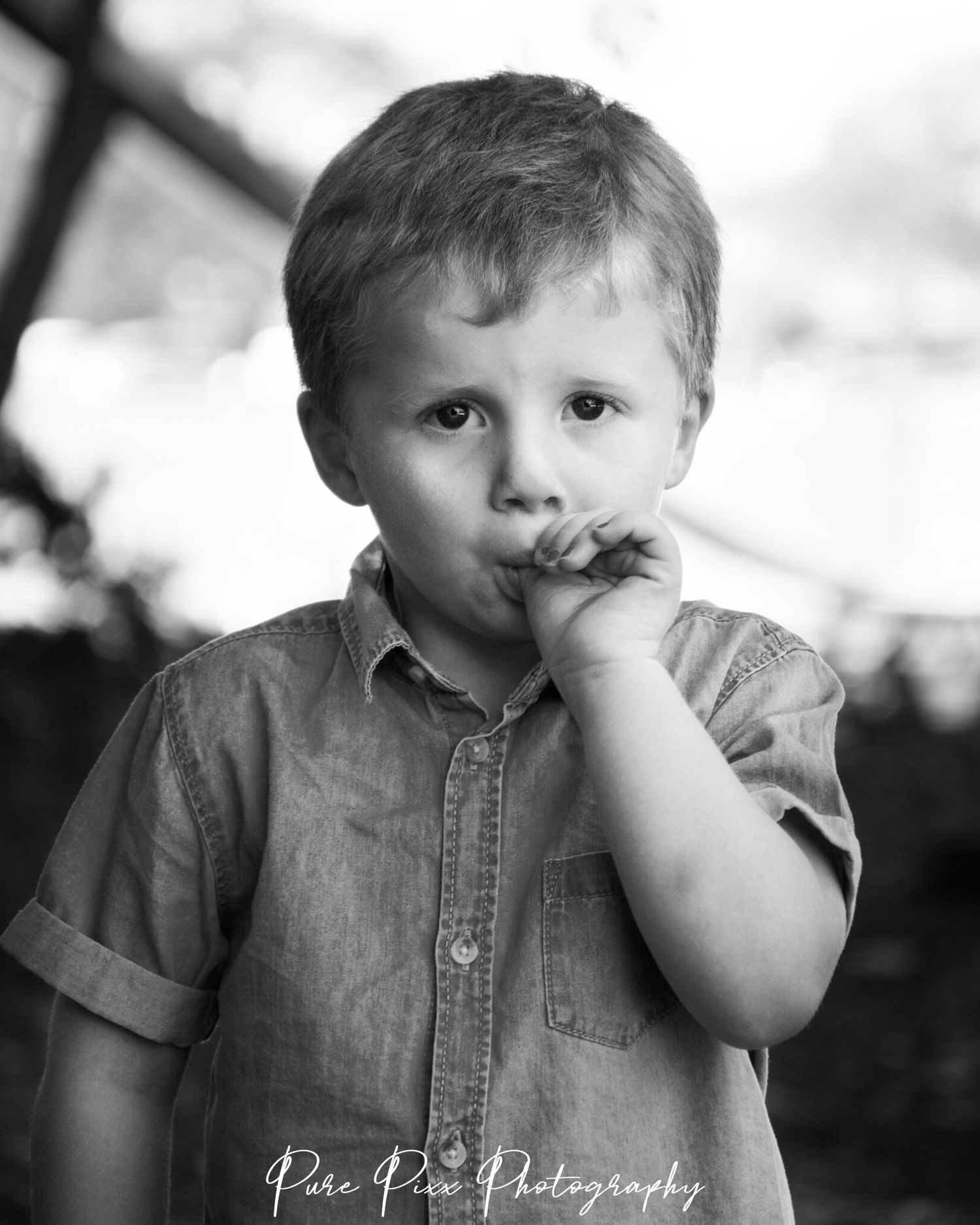 pure pixx photography