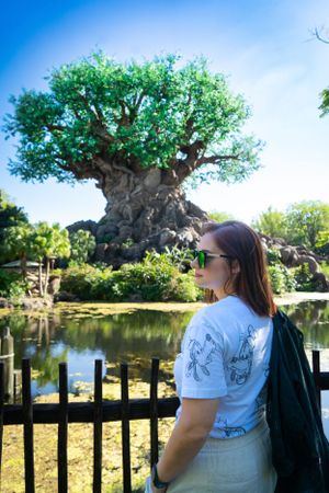 View of Disney's Animal Kingdom Tree of Life with visitor observing from viewing area.