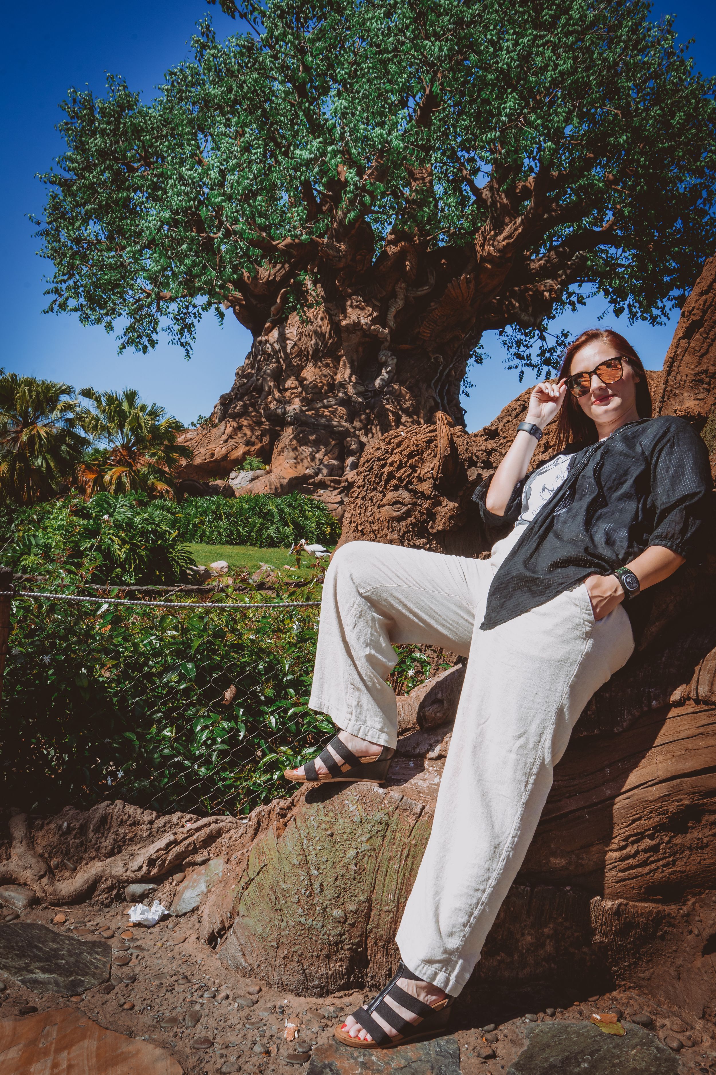 Casual pose against tree roots at Disney's Animal Kingdom theme park.