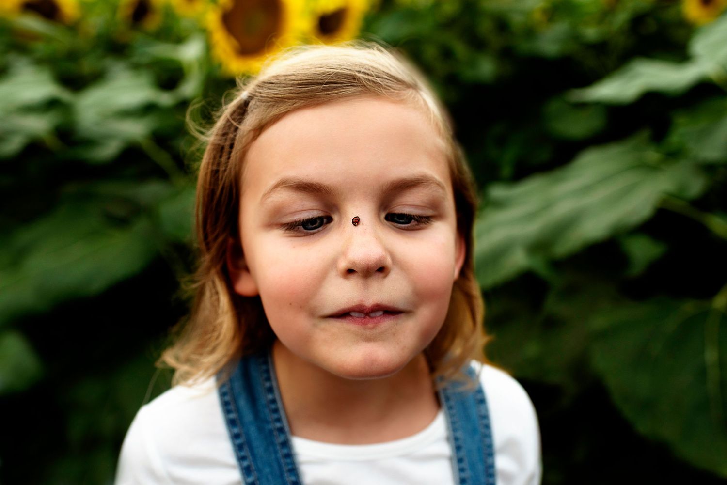 Little girl in a sunflower field with a ladybug on her nose