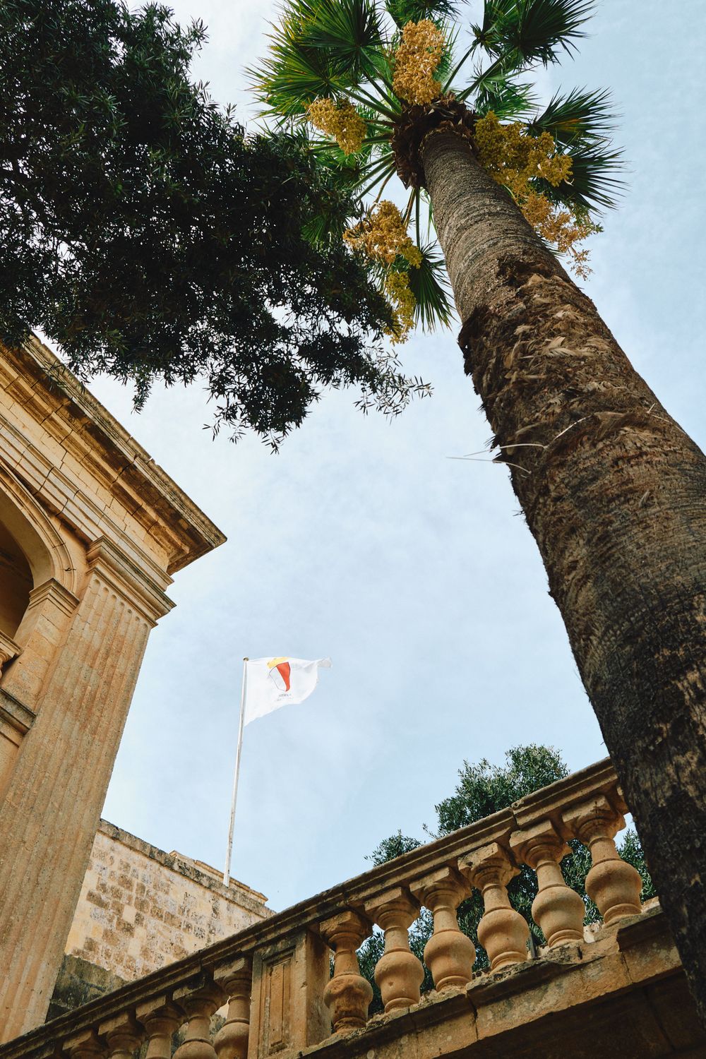 Tall palm tree against limestone architecture with a flag pole in Malta.