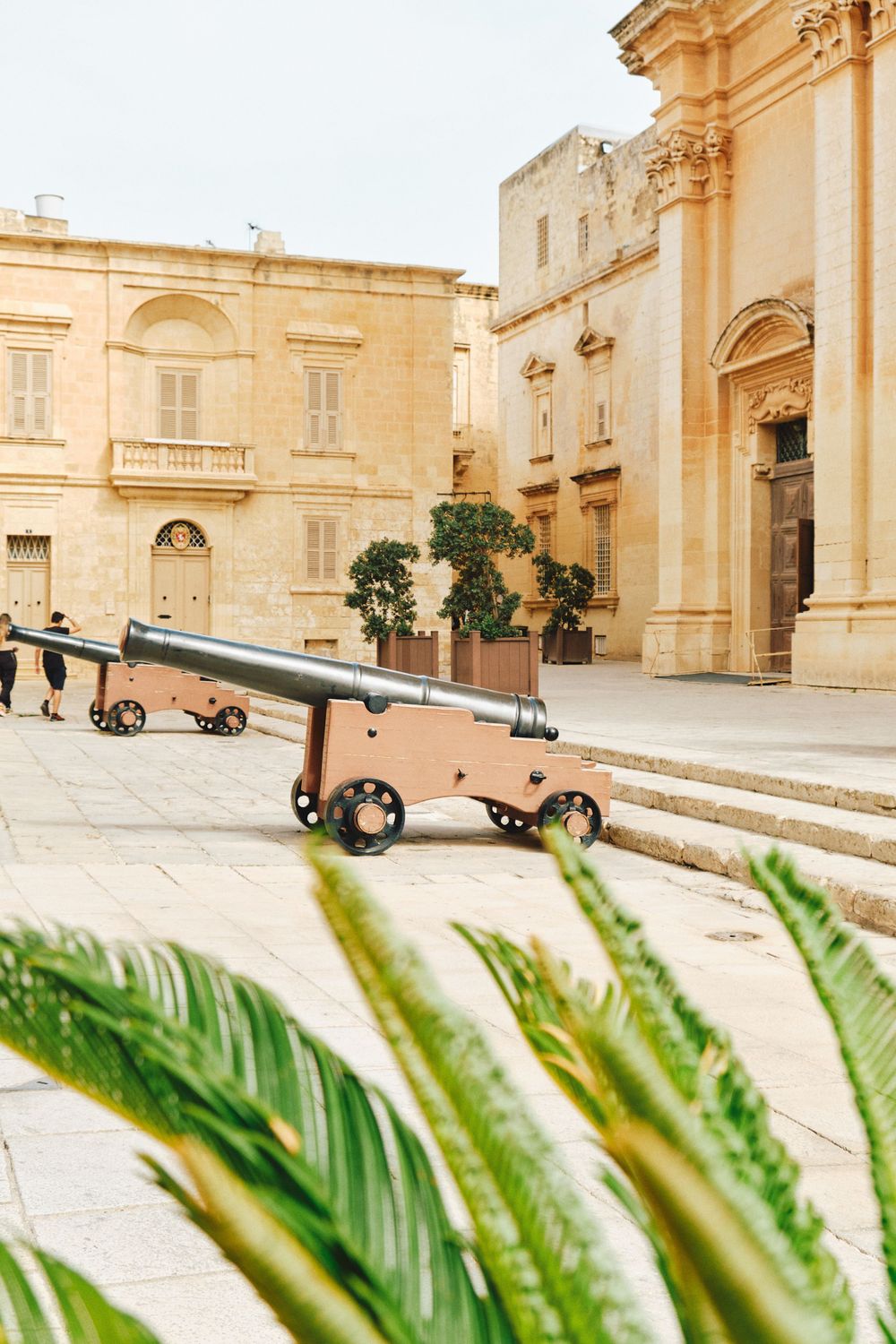 Historic cannon display in front of baroque buildings with palm fronds in foreground.