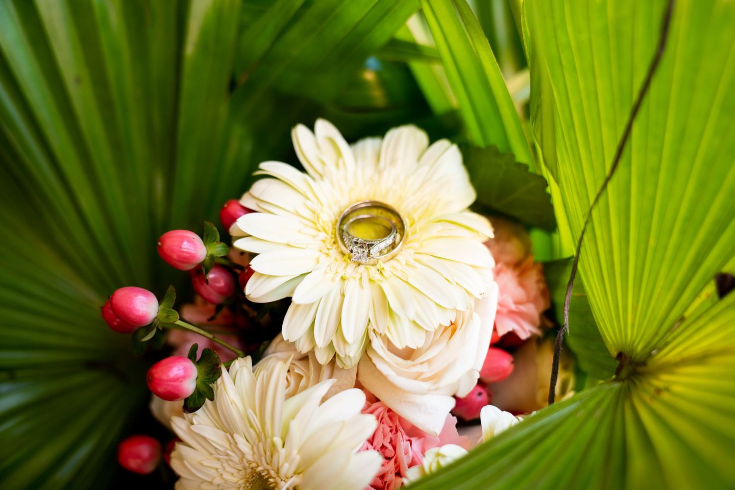Wedding rings displayed on white gerbera daisies with palm fronds and pink accents.
