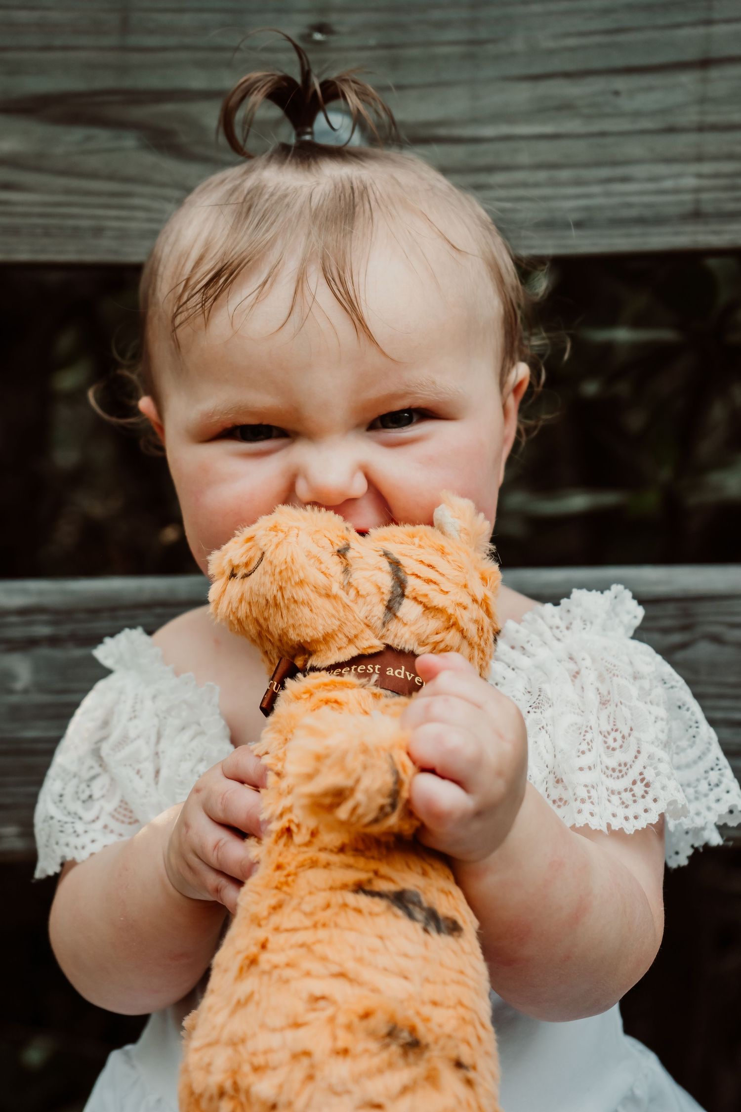 Outdoor Cake Smash Session at Indian Rocks Beach, Indian Rocks, FL; Baby holding a 1 tigger stuffed animal