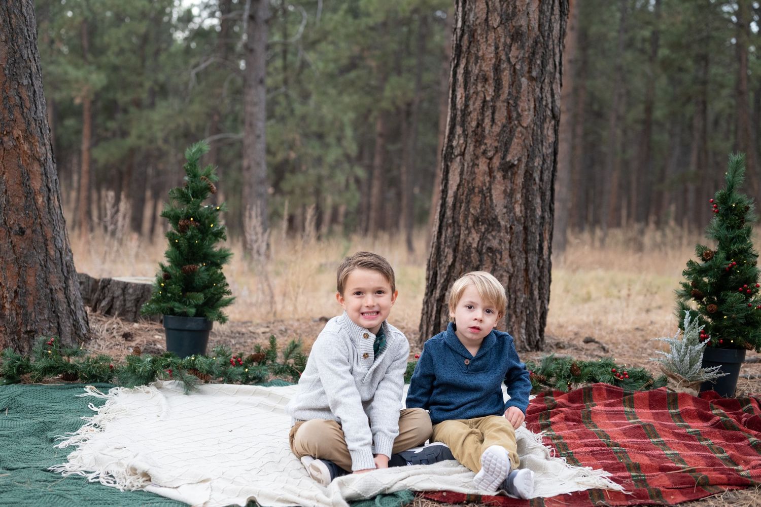 Holiday Mini Sessions in Colorado Springs