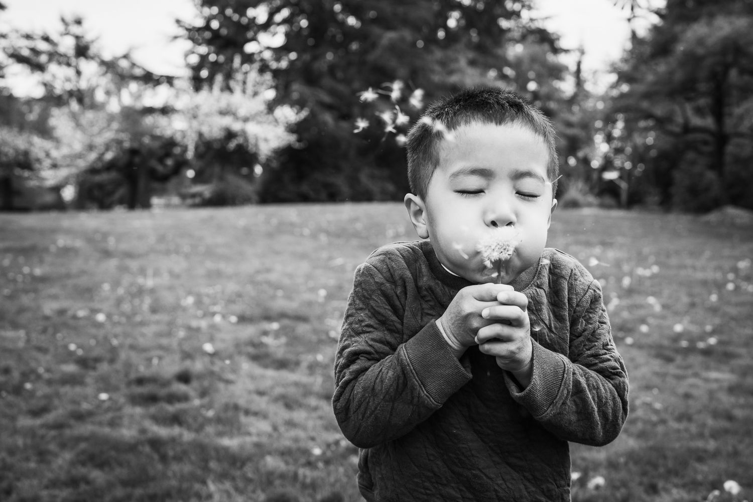 Candid moment of child blowing dandelion puff