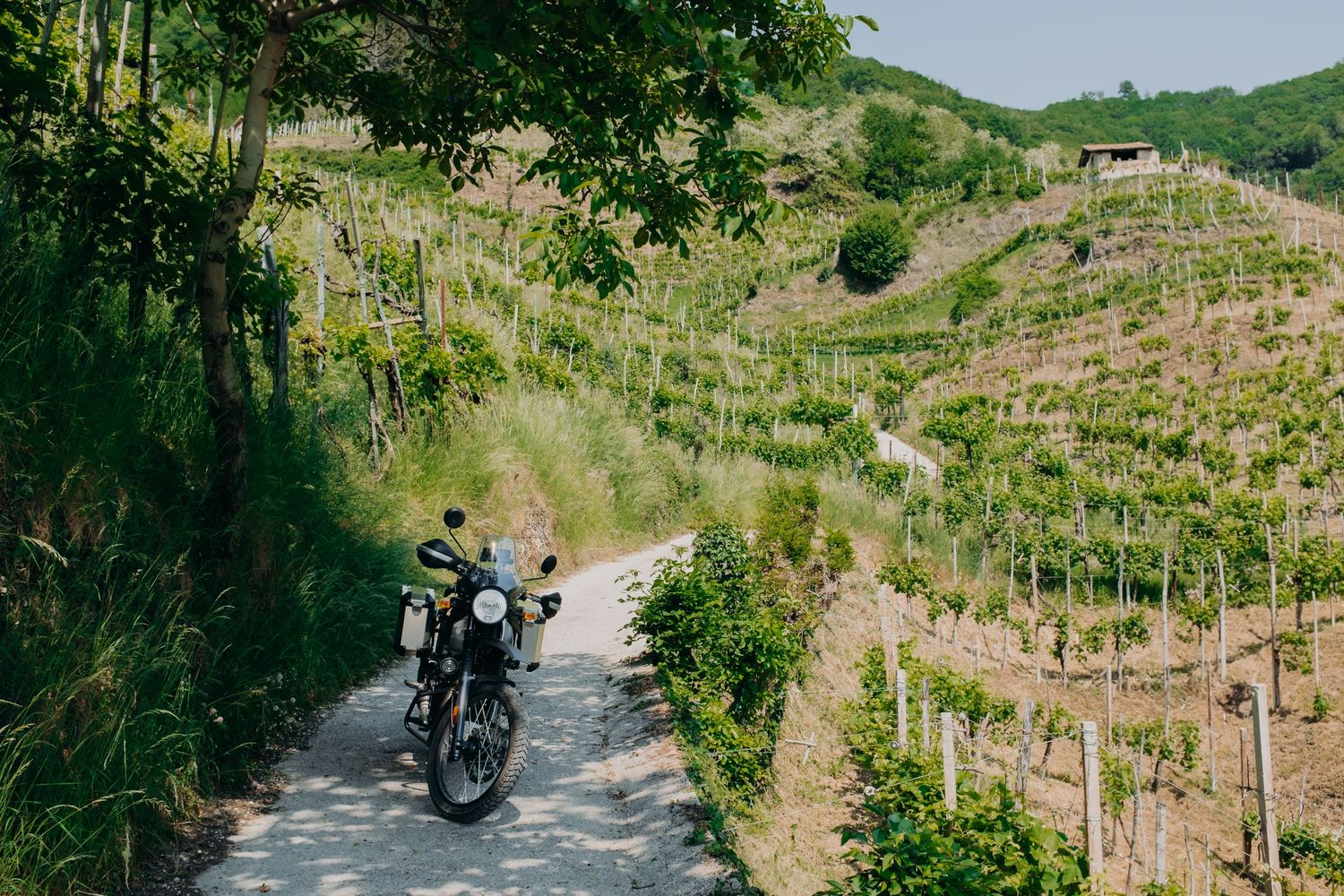 Torri di Credazzo - Farra di Soligo (TV) con la mia Himalayan | Alessandro Failla | Fotografia e Siti Web | Padova