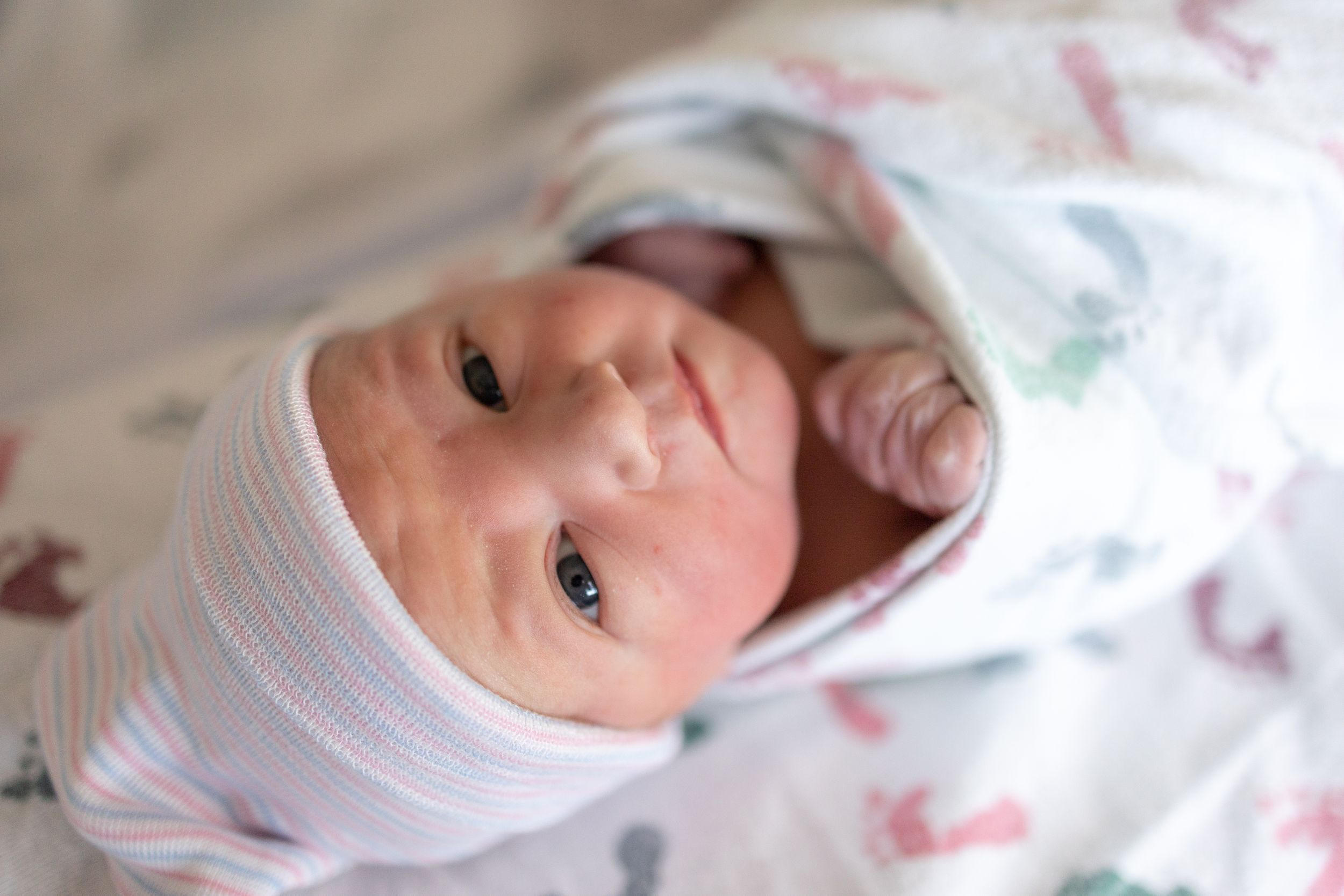 Fresh 48 Salty Babies Photography Brevard County Florida