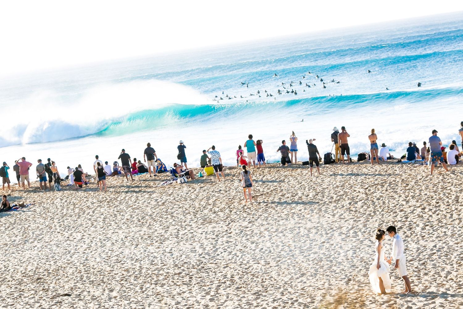 Crowd of beachgoers watching large ocean waves crash on a sunny sandy beach.
ハワイウェディング
ハワイ挙式
