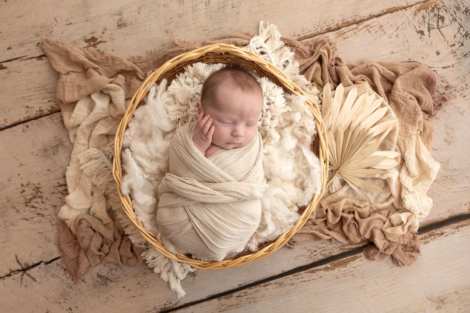 NEWBORN BOY