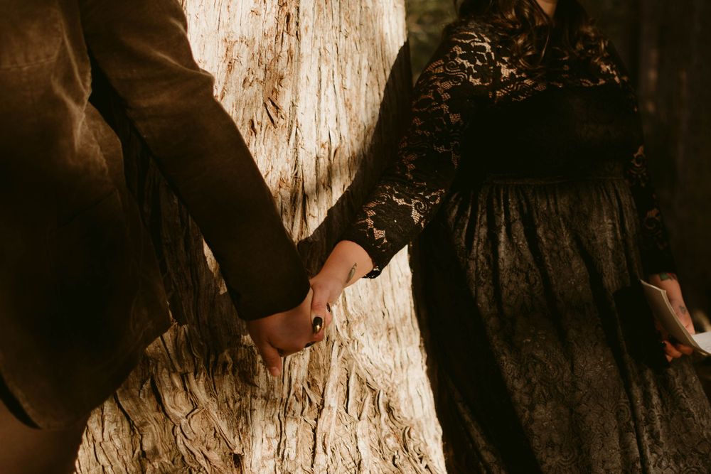Close-up of hands holding against tree trunk in moody forest lighting.