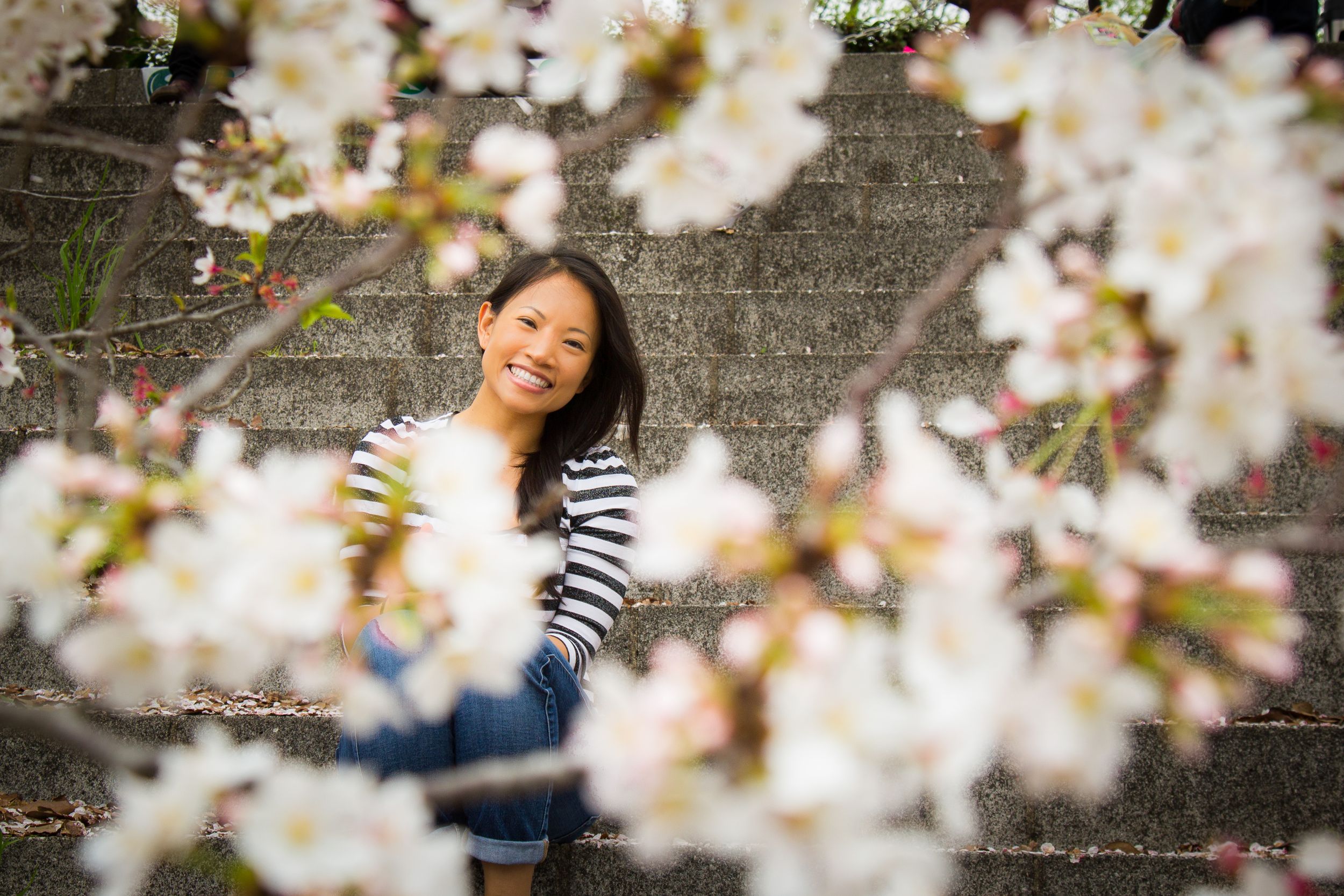 Portrait of asian girl framed behind white cherry blossom flowers in Japan.