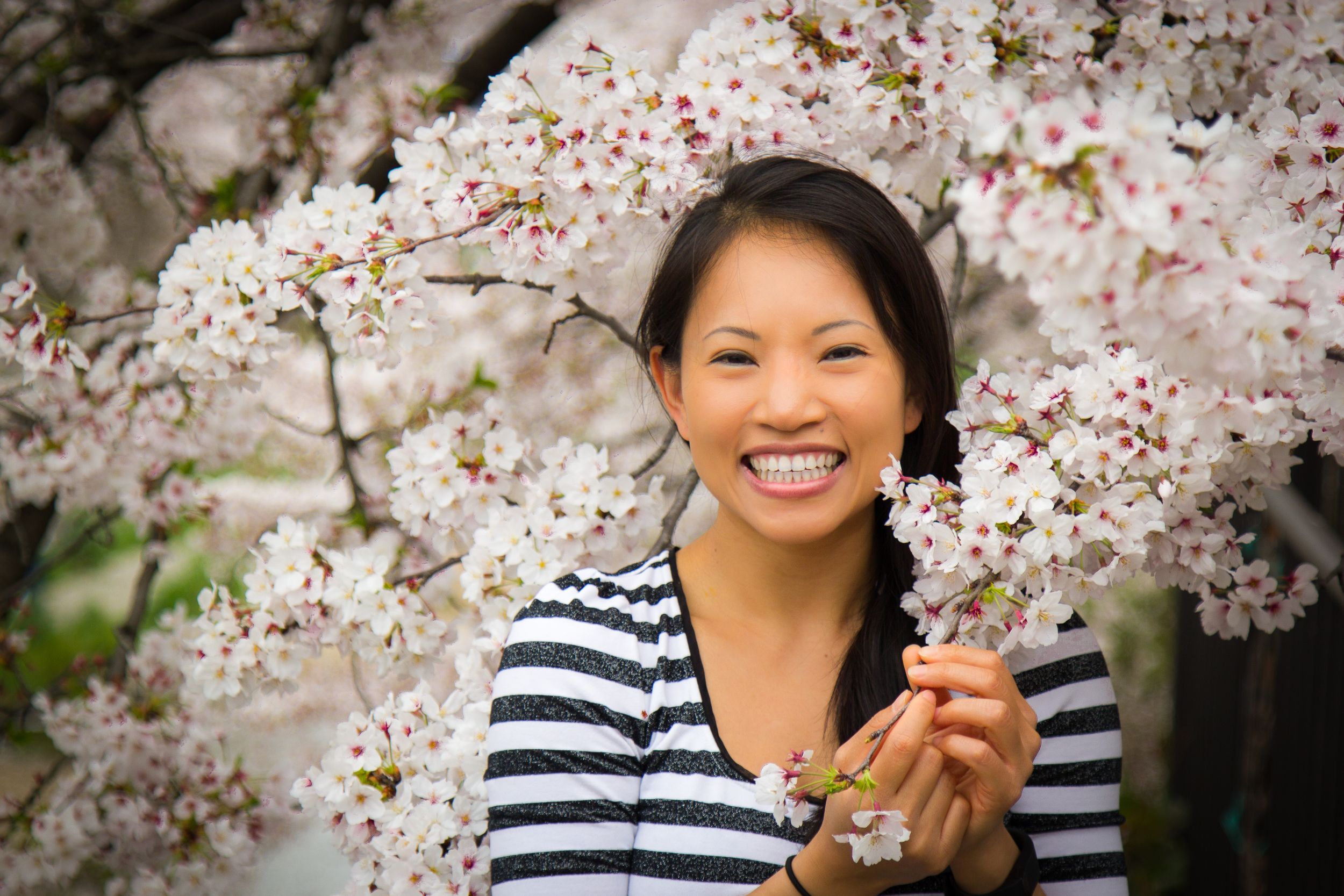 Portrait of asian girl with white cherry blossom flowers in Japan.