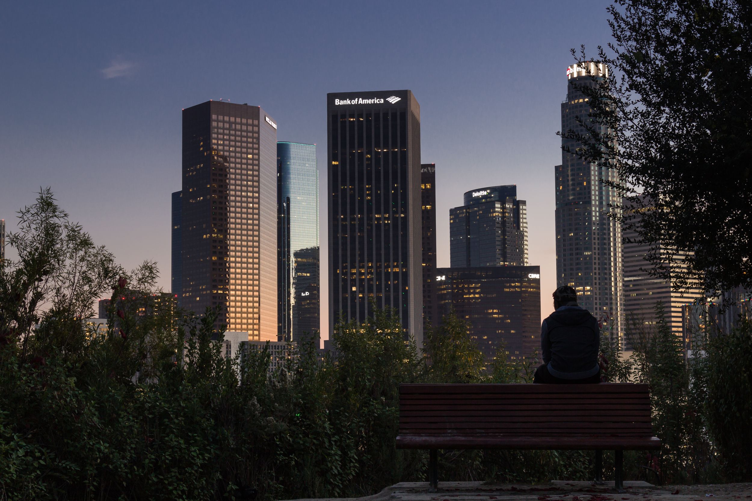 Man sitting on park bench looking towards downtown Los Angeles during sunset.