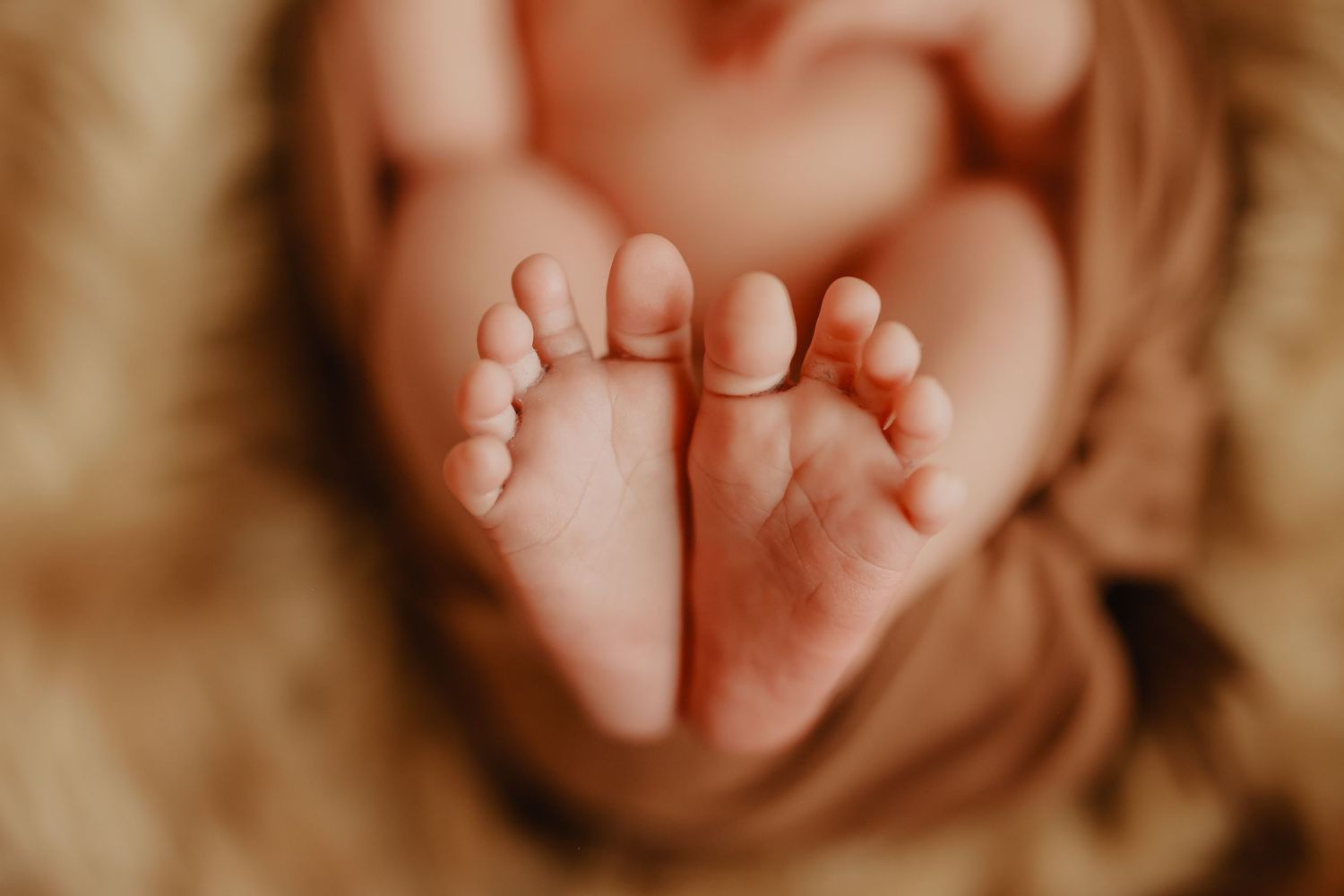 Close-up series of tiny newborn baby feet in warm sepia tones.