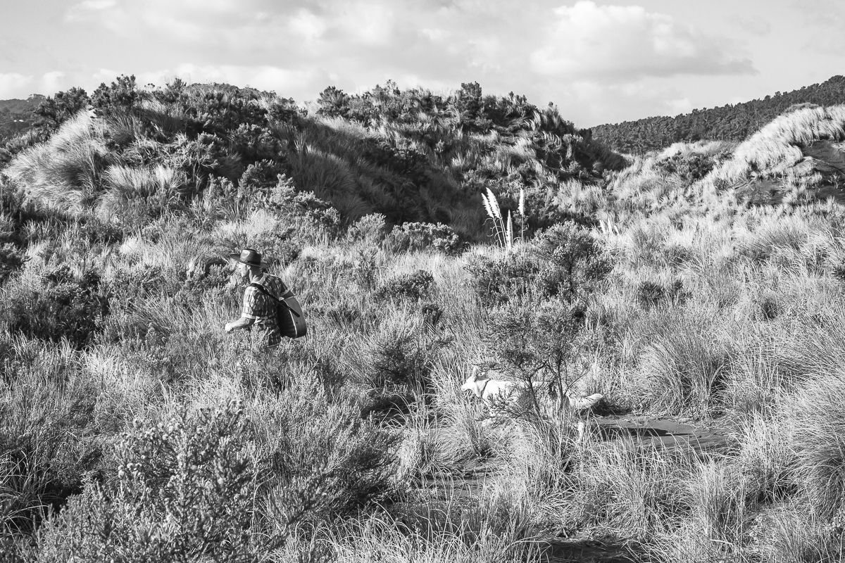 Black and white editorial style landscape photography in Bethells Beach New Zealand