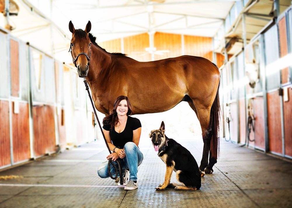 kentucky Indiana horse equestrian photography photographer photos Louisville Lexington seniors families children couples