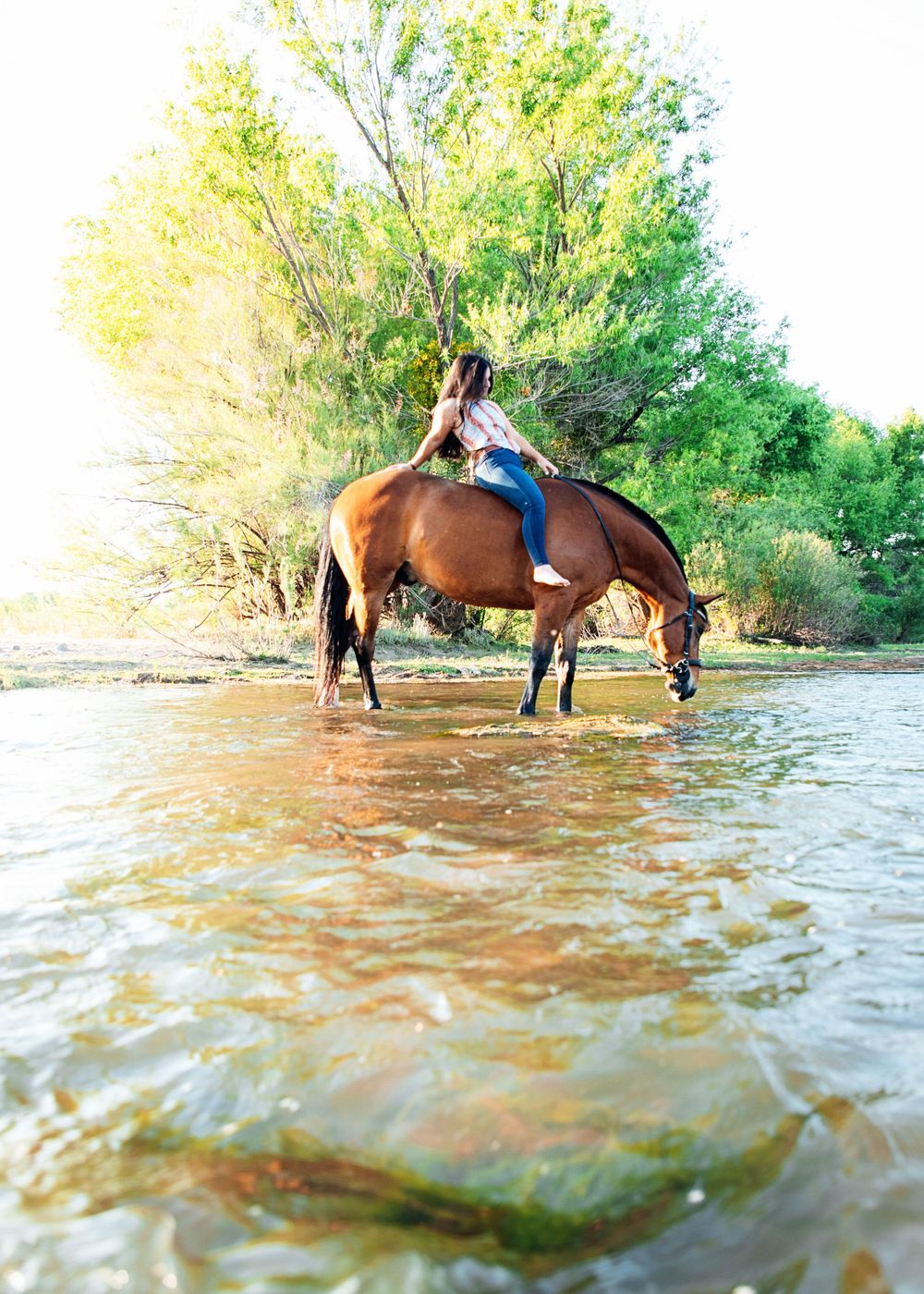 kentucky Indiana horse equestrian photography photographer photos Louisville Lexington seniors families children couples