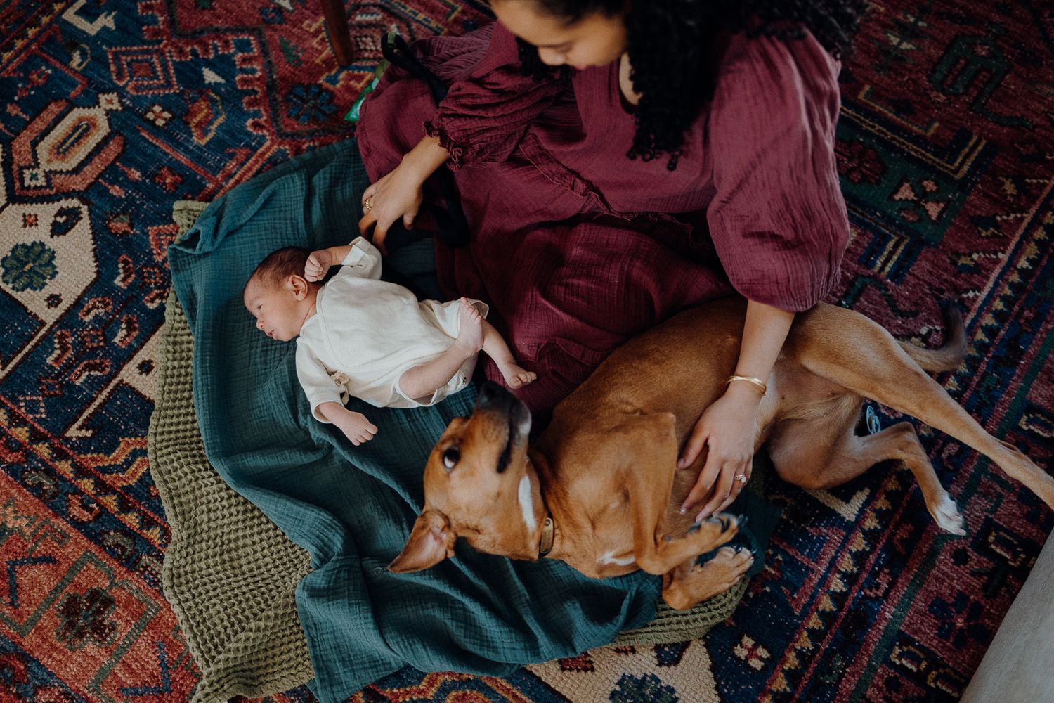 A person and dog relax together on a colorful patterned rug in cozy indoor lighting.