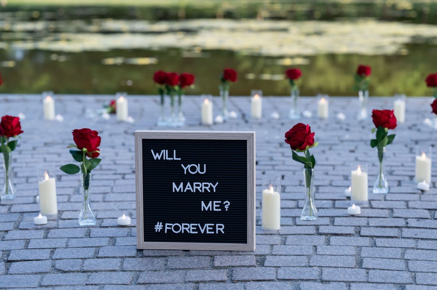 Washington DC Surprise Proposal Photographer