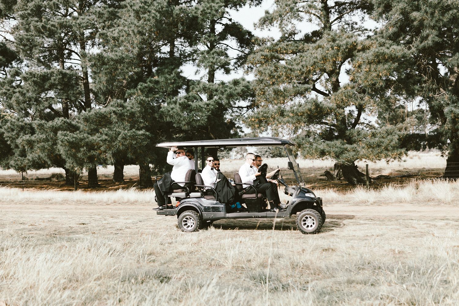 Wedding party rides in golf cart across grassy field with trees.