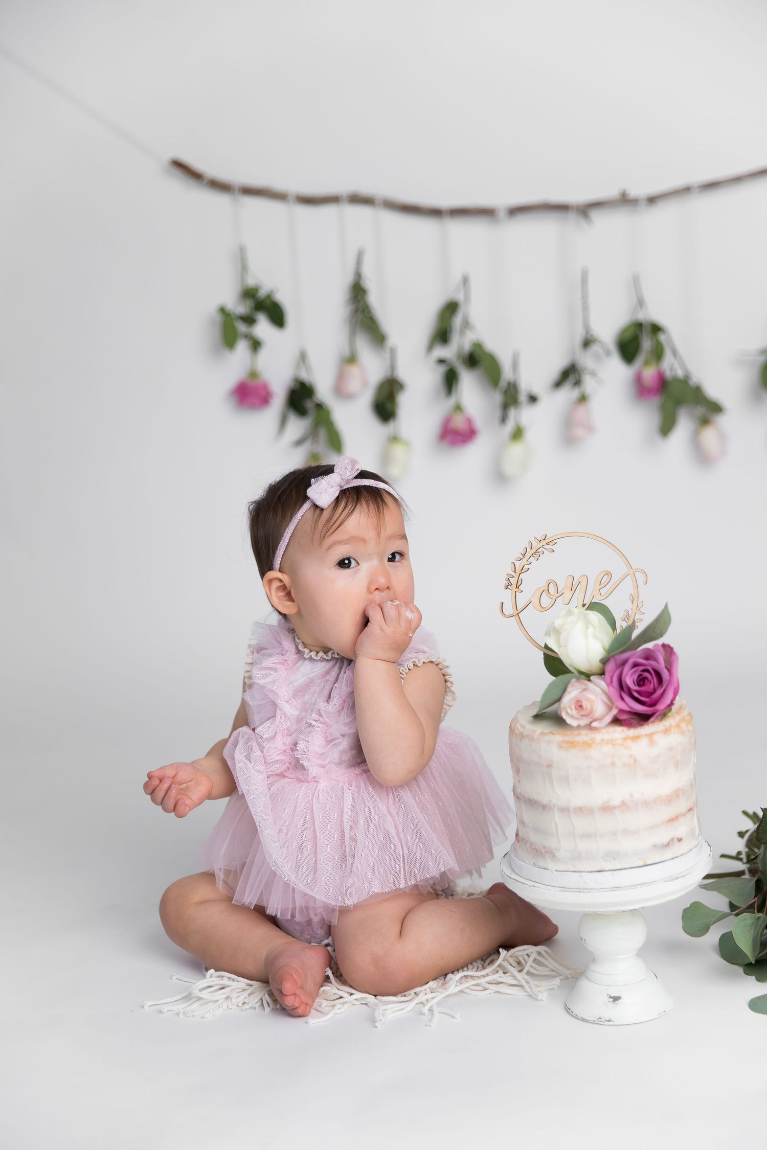 charlotte nc cake smash photographer