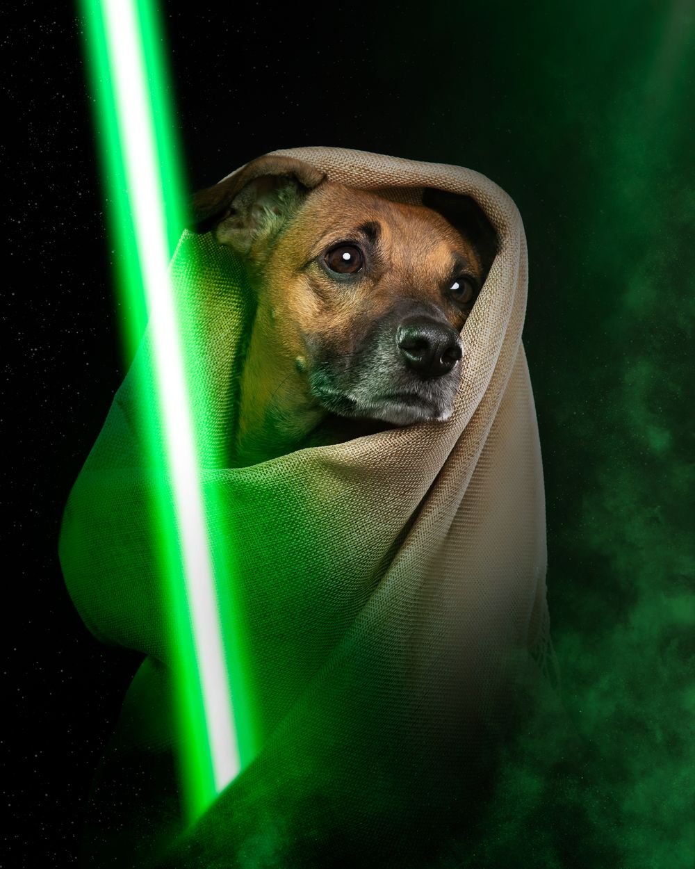 jedidog frikisesión