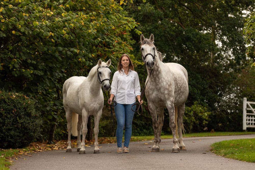 Two elegant grey horses stand with their handler on a tree-lined path.