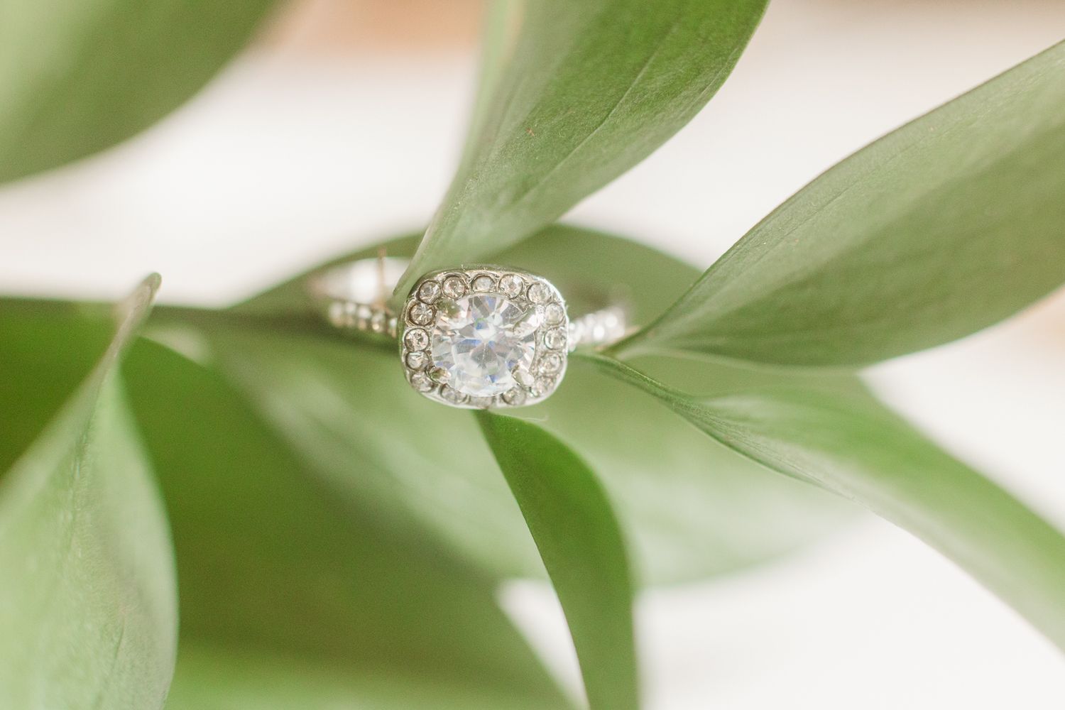 Diamond engagement ring photographed on green leaves with soft focus background.