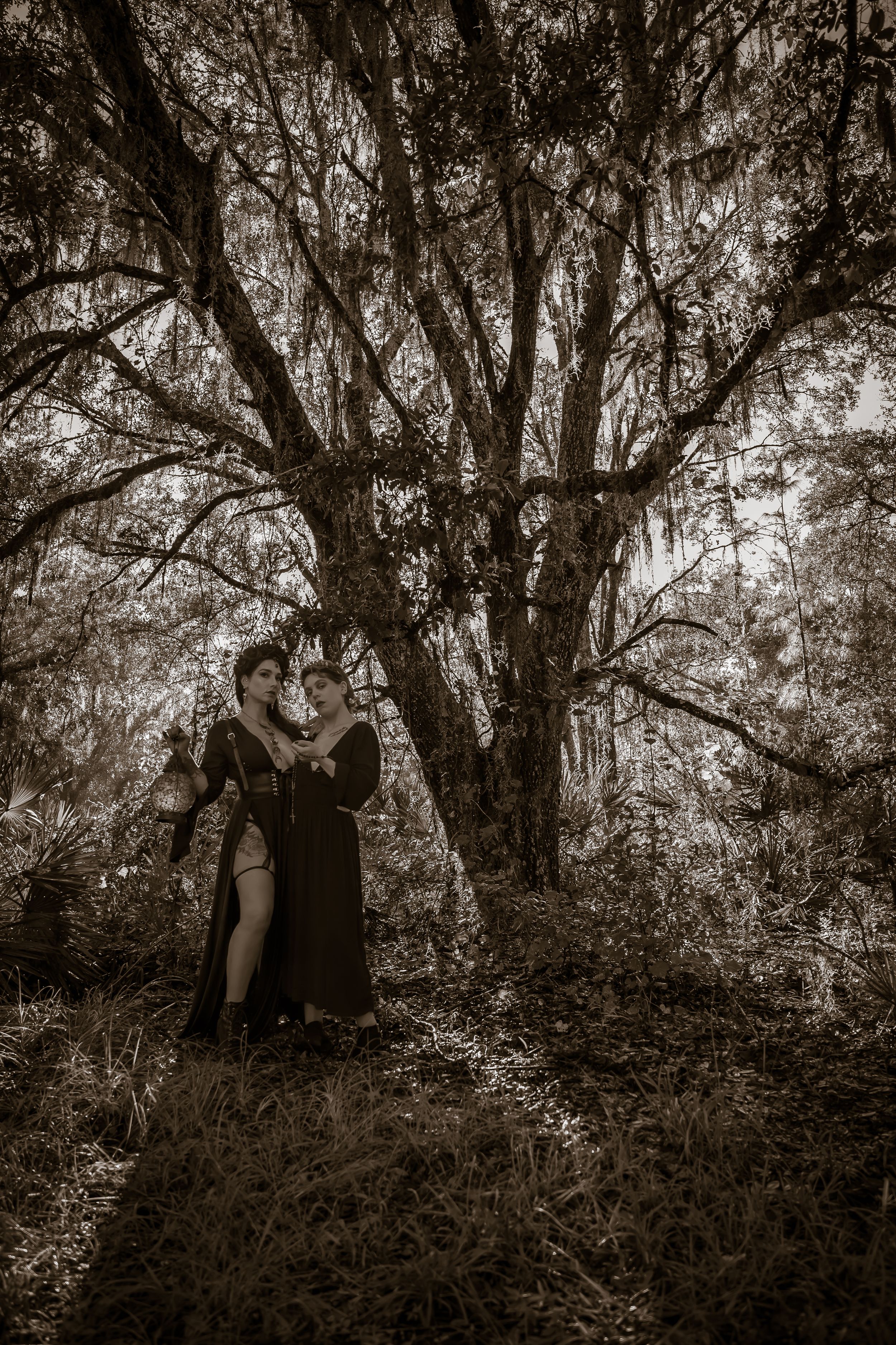 Sepia-toned portraits set against dramatic tree branches create moody outdoor scenes.
