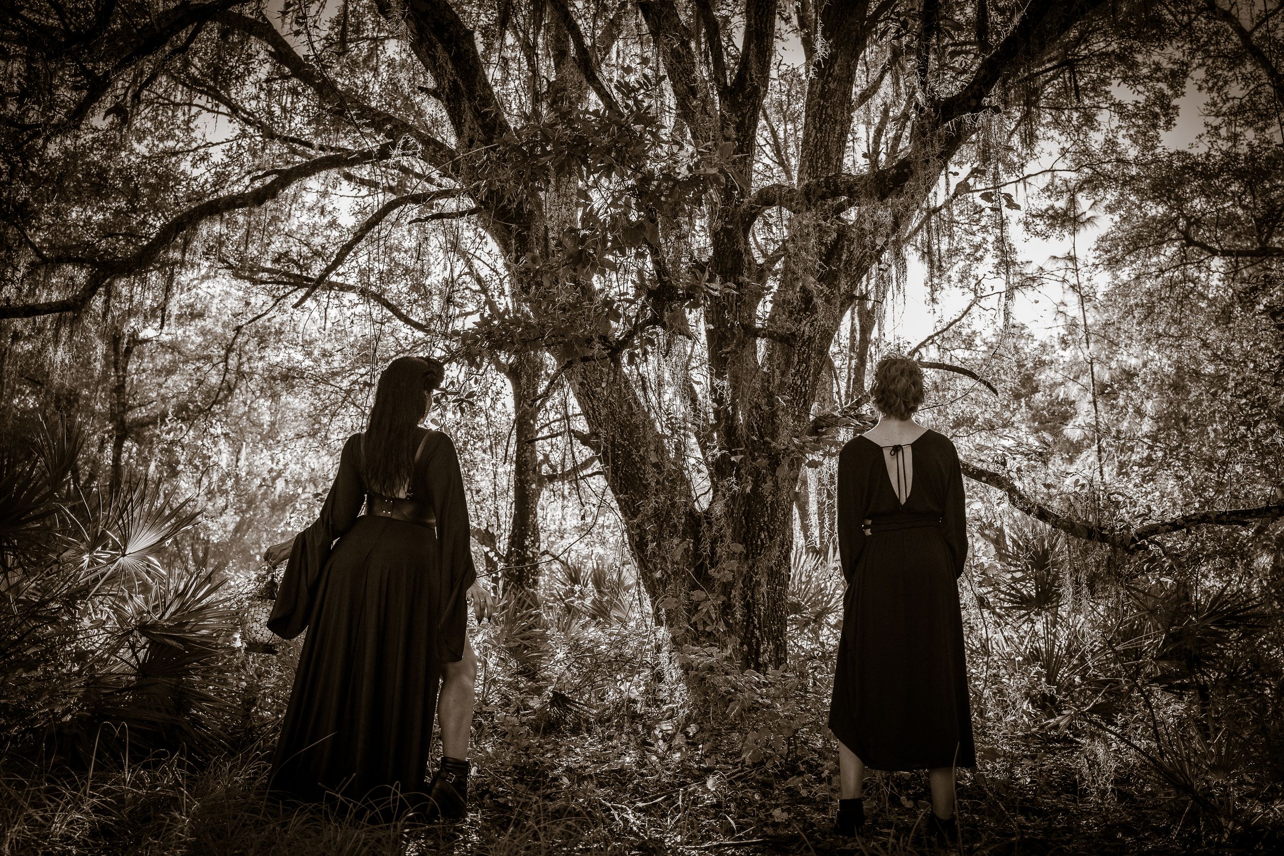 Black and white artistic portraits framed by dramatic Spanish moss and tree silhouettes.