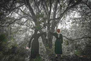 Misty forest scene with dark silhouettes creating an ethereal gothic atmosphere.