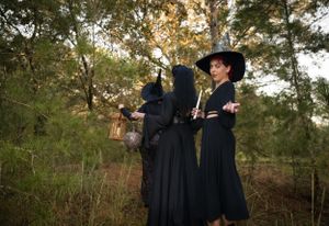 A group dressed in black Victorian-inspired clothing pose dramatically among trees at sunset.
