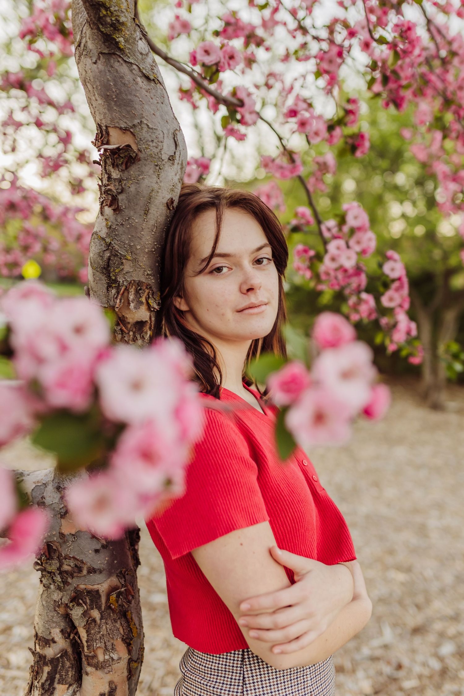 Spring portrait among blooming cherry blossoms with vibrant pink flowers framing the scene.
