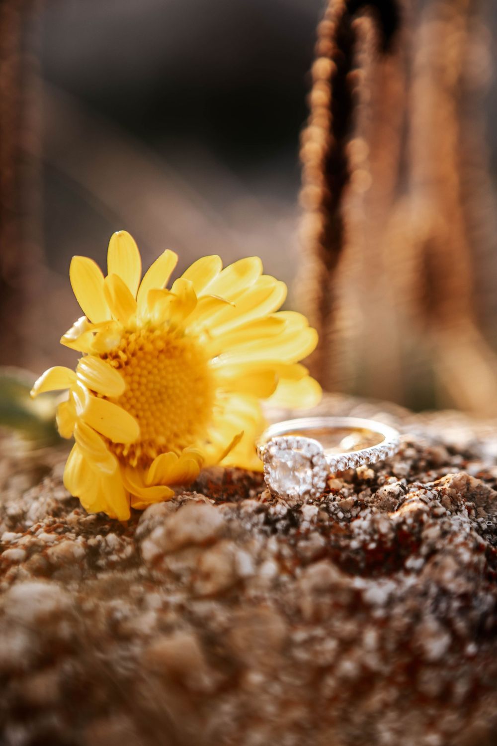 An engagement ring sits beautifully next to yellow daisies on a textured surface.