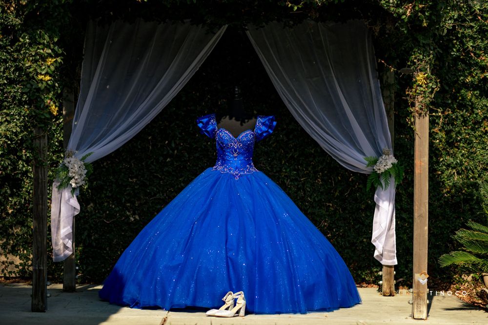 A majestic royal blue ball gown displayed under white drapes in an outdoor garden setting.