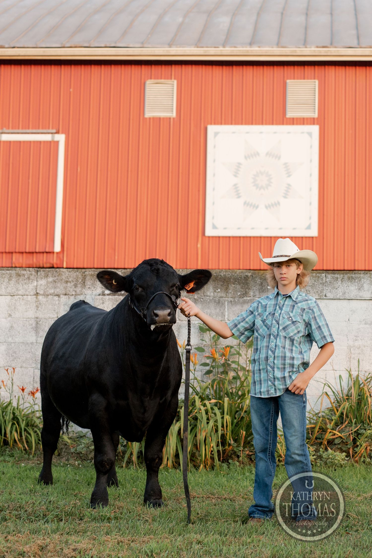 A black show steer stands beside its handler in front of an orange barn on a summer evening.