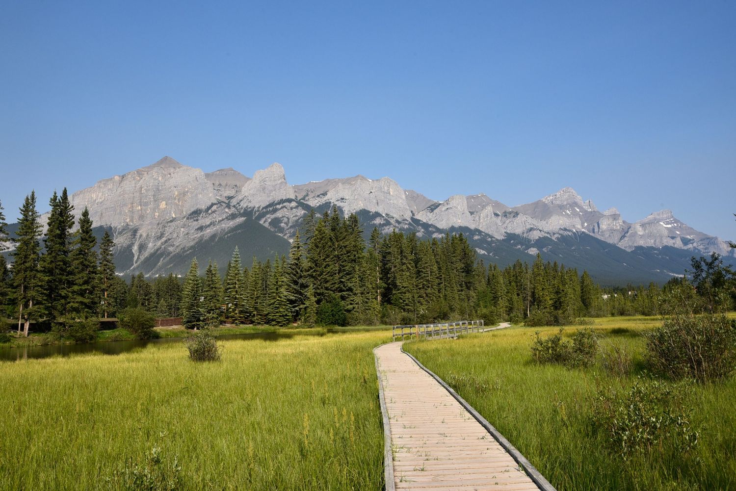 contact-moments-by-mayuran