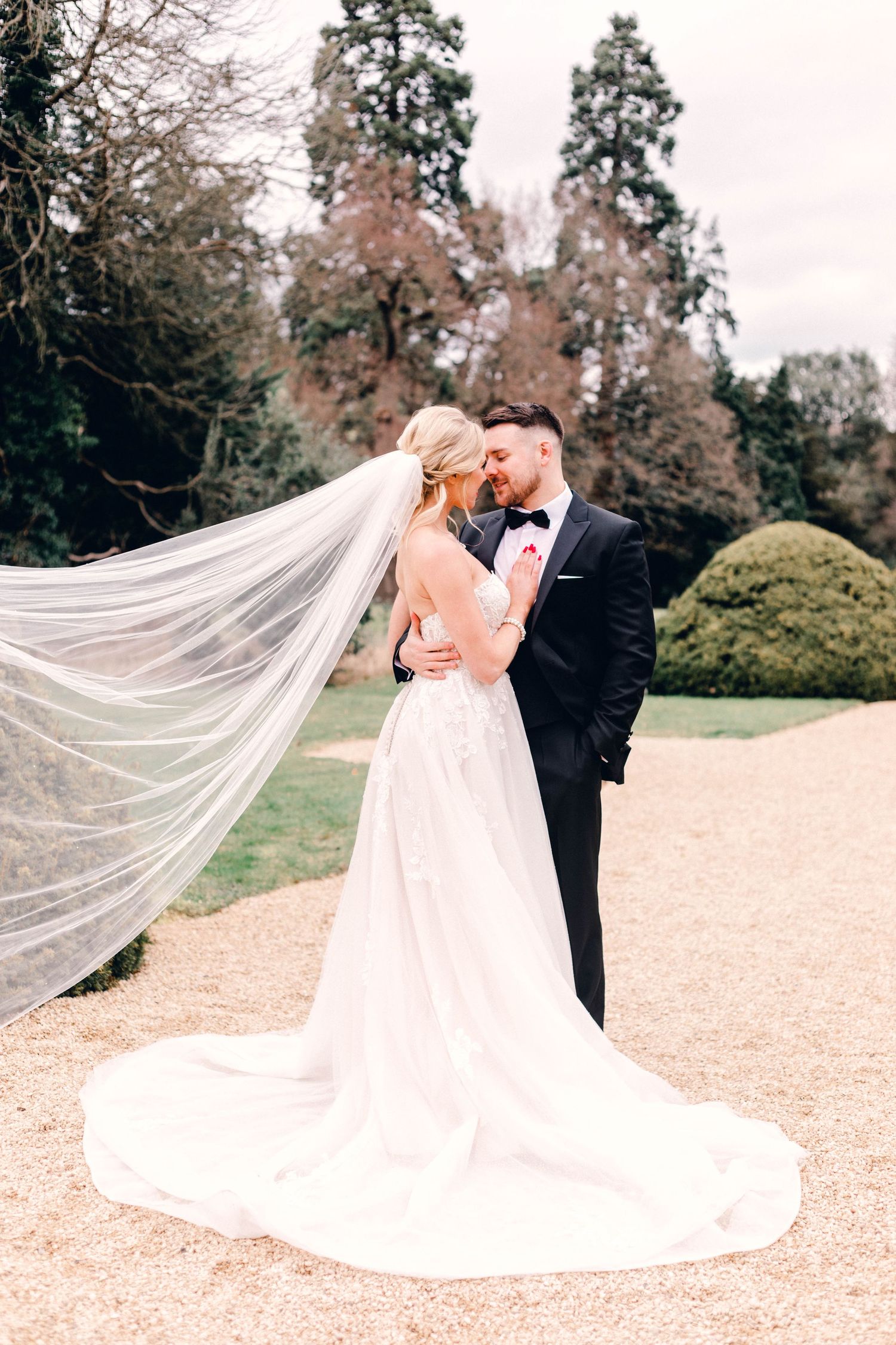 the veil picture dream wedding dress couple's portrait