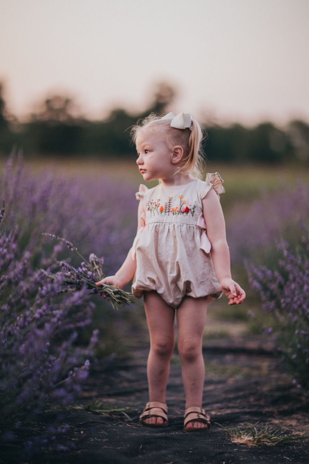 Small child in vintage romper standing among blooming lavender flowers at sunset.