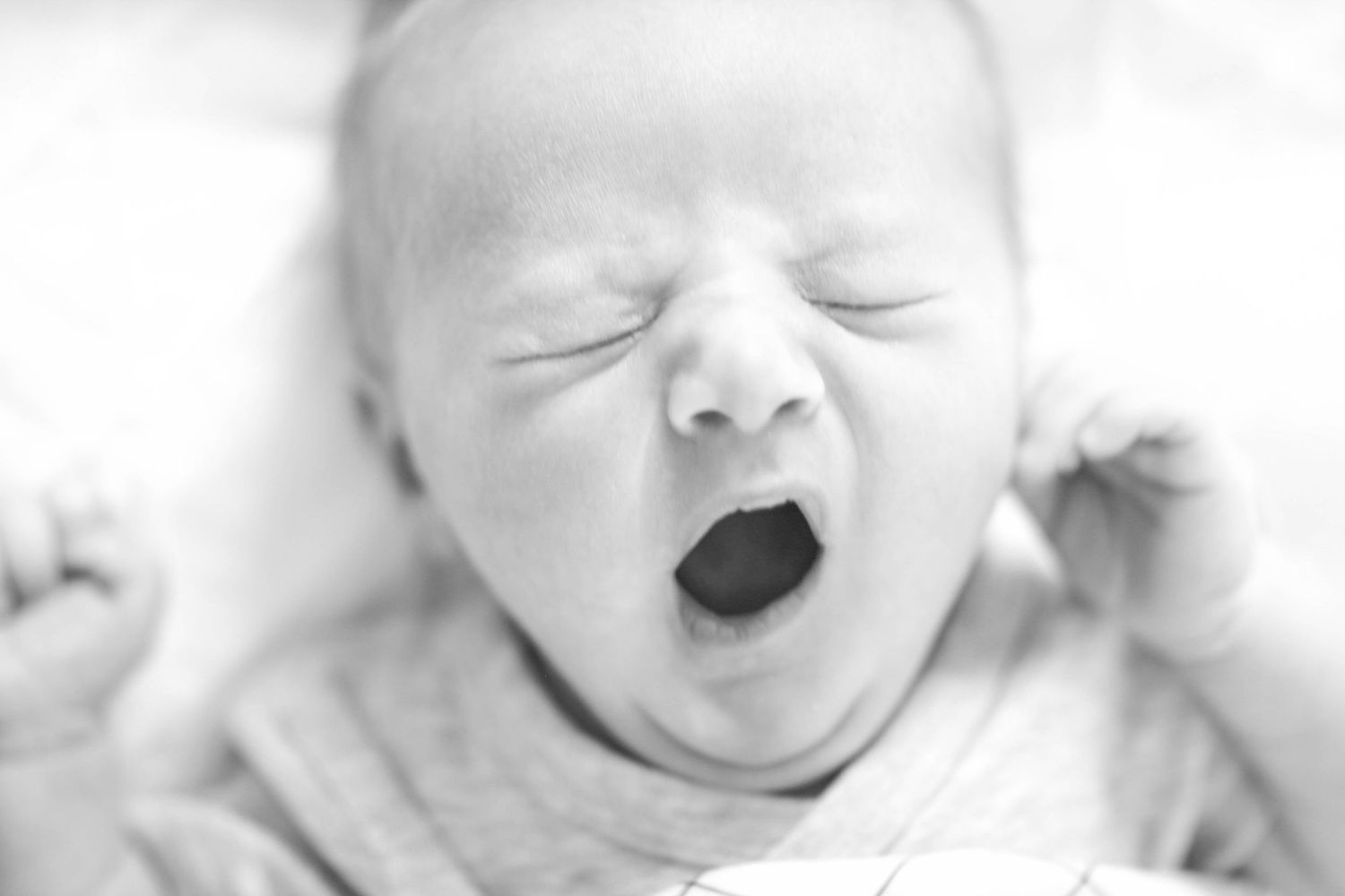 Patrycja Alina Photography Family Photography Lifestyle  Newborn Denver, Colorado